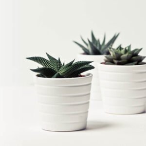 Store Light Brown Bag